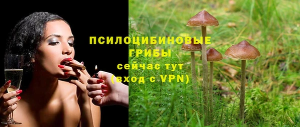 мяу мяу мука Осинники