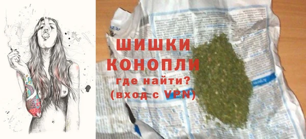 прущие грибы Коряжма