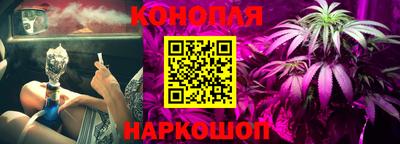 амф Бийск