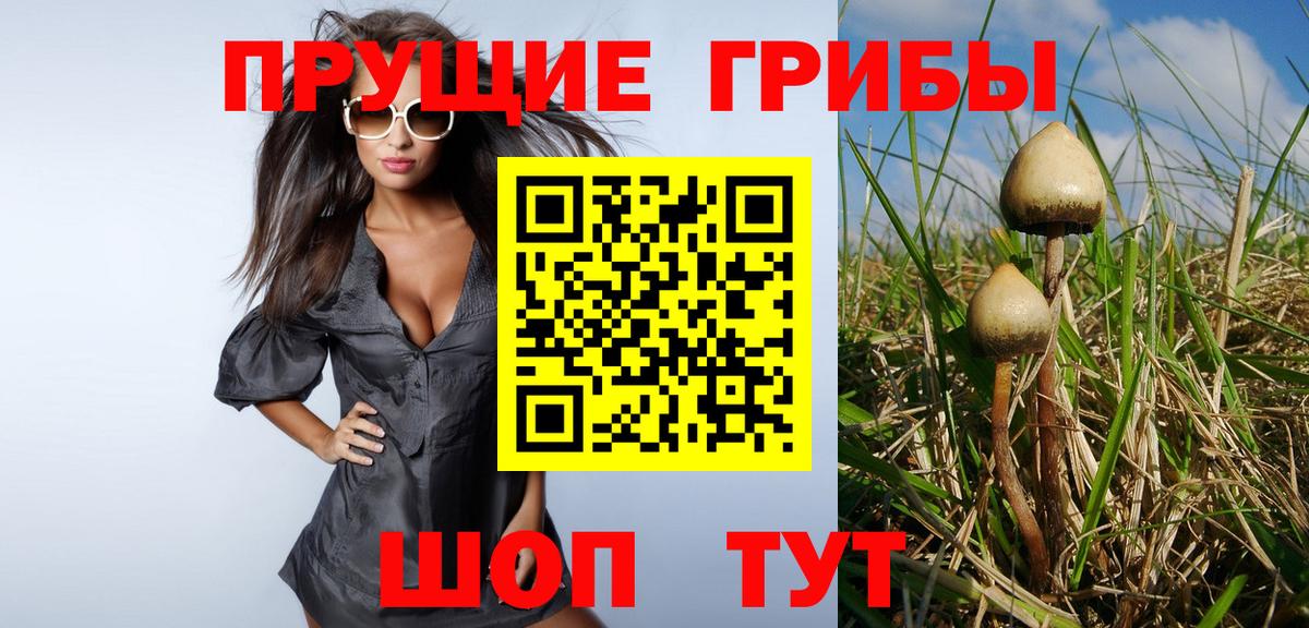 Корсаков  Псилоцибиновые грибы MAGIC MUSHROOMS  Вход с VPN 